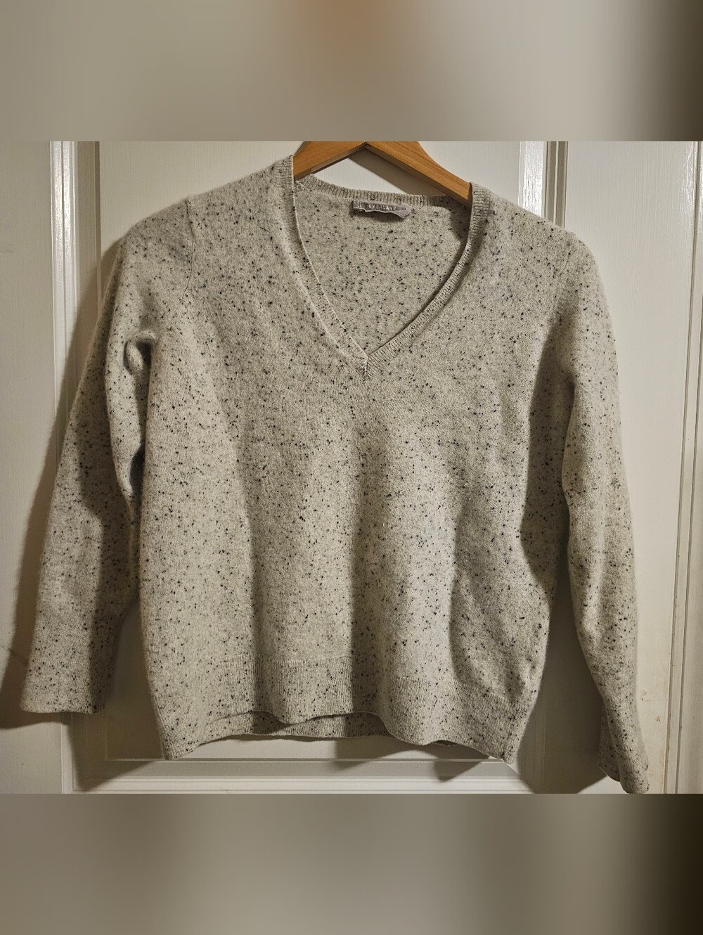 Everlane Light Gray Speckled V-Neck Sweater